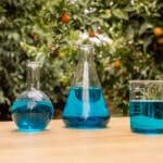 the glasses of curezin